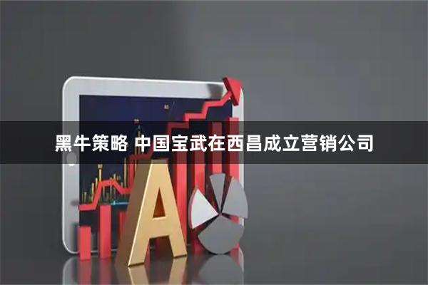黑牛策略 中国宝武在西昌成立营销公司